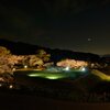 春～石舞台の夜桜