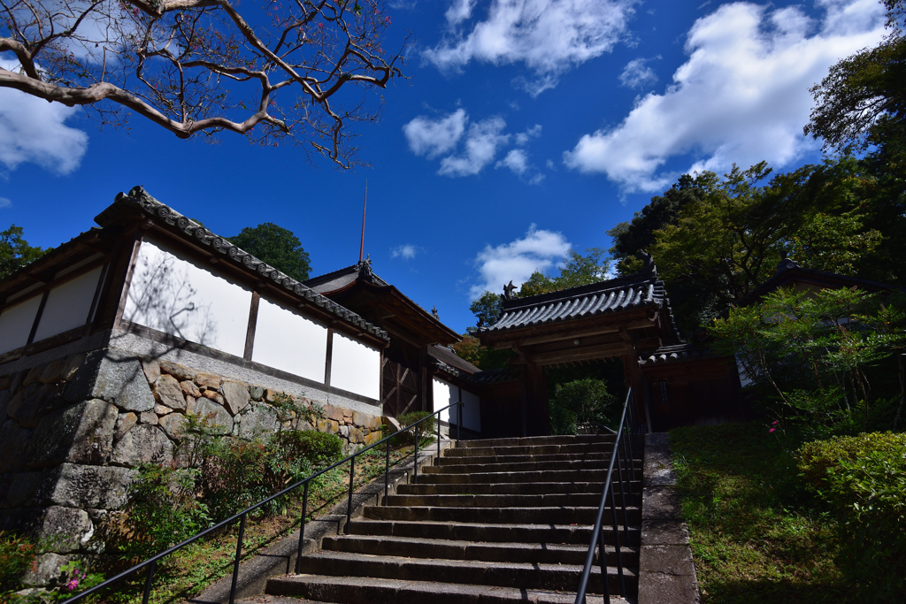 秋空の山門