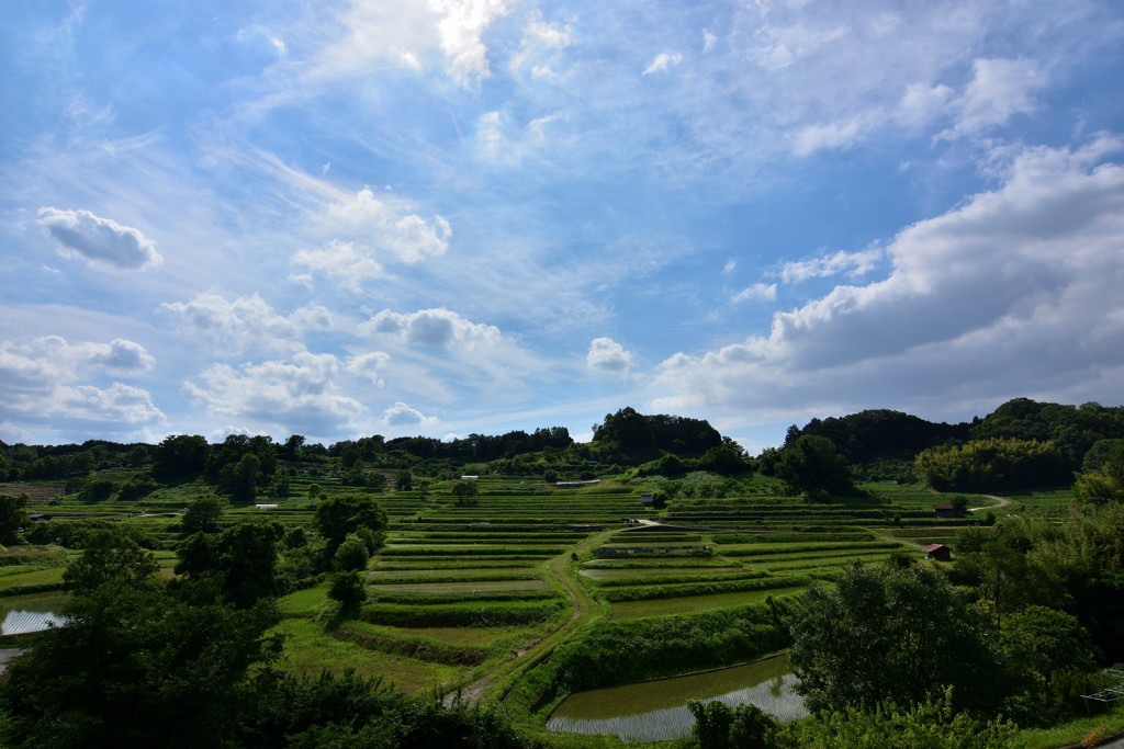 青空の下で