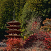 昭和の名塔の秋
