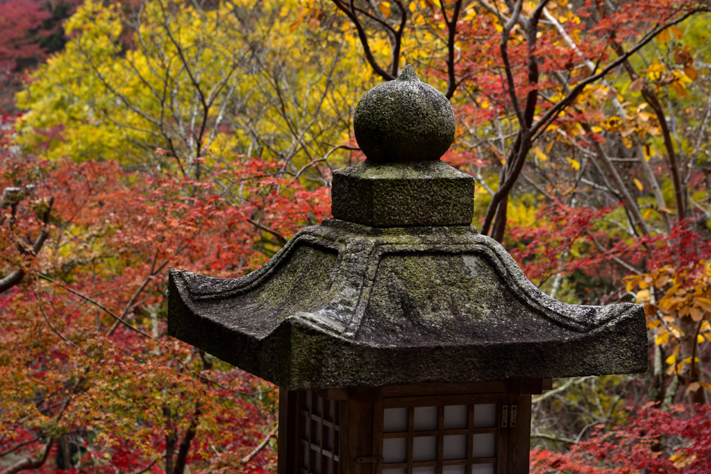 紅葉の長谷寺　賑やかな背景