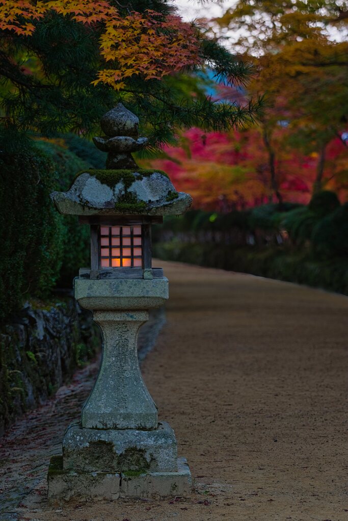 灯