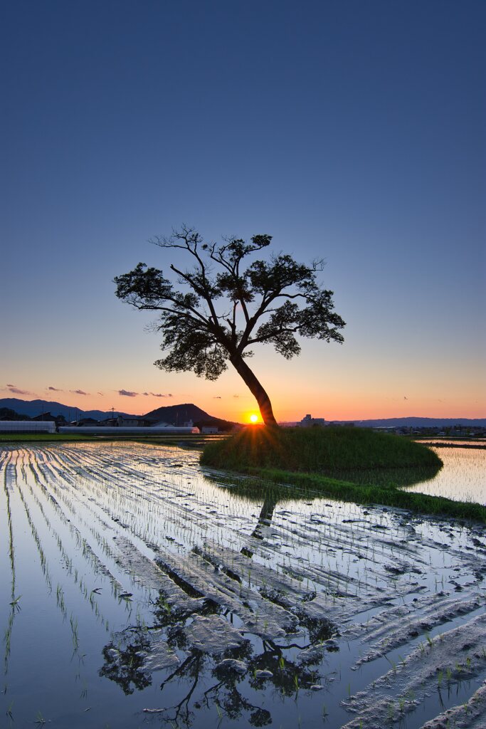 夕暮れの小墾田宮跡 弐