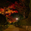 夜明け前の蛇腹道