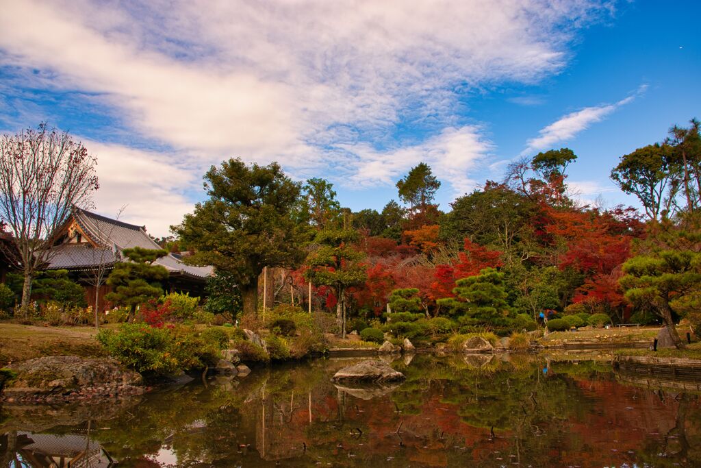 晩秋～～法金剛院庭園