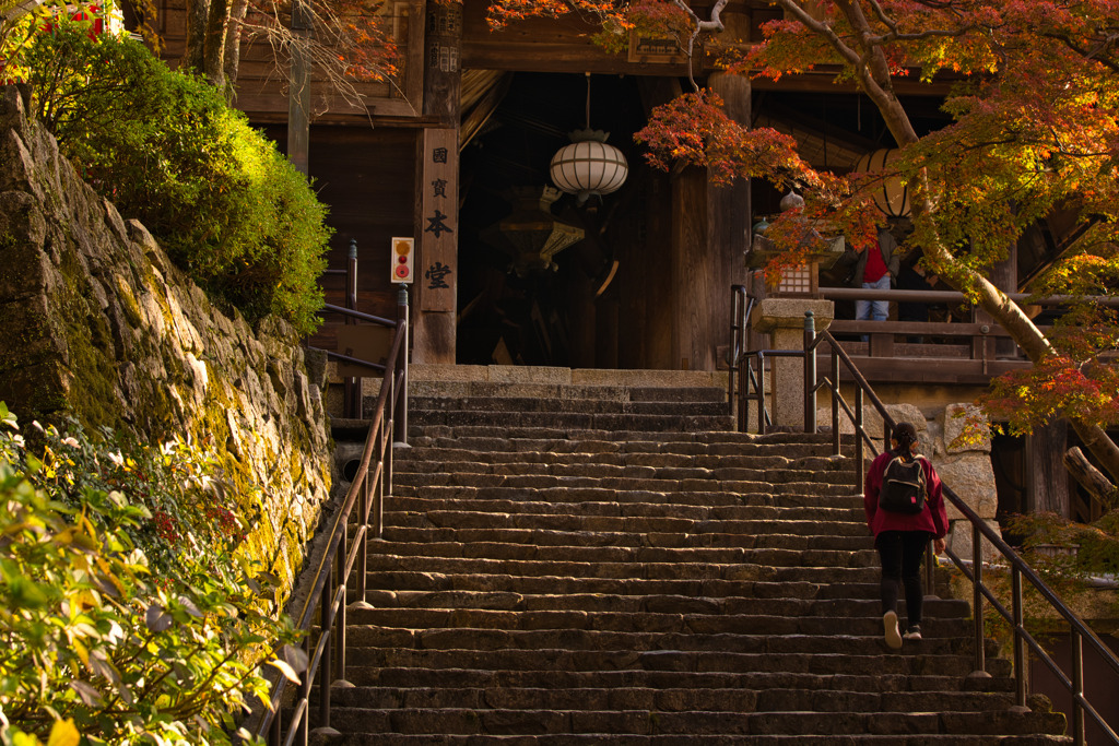《続》錦秋～長谷寺～本堂