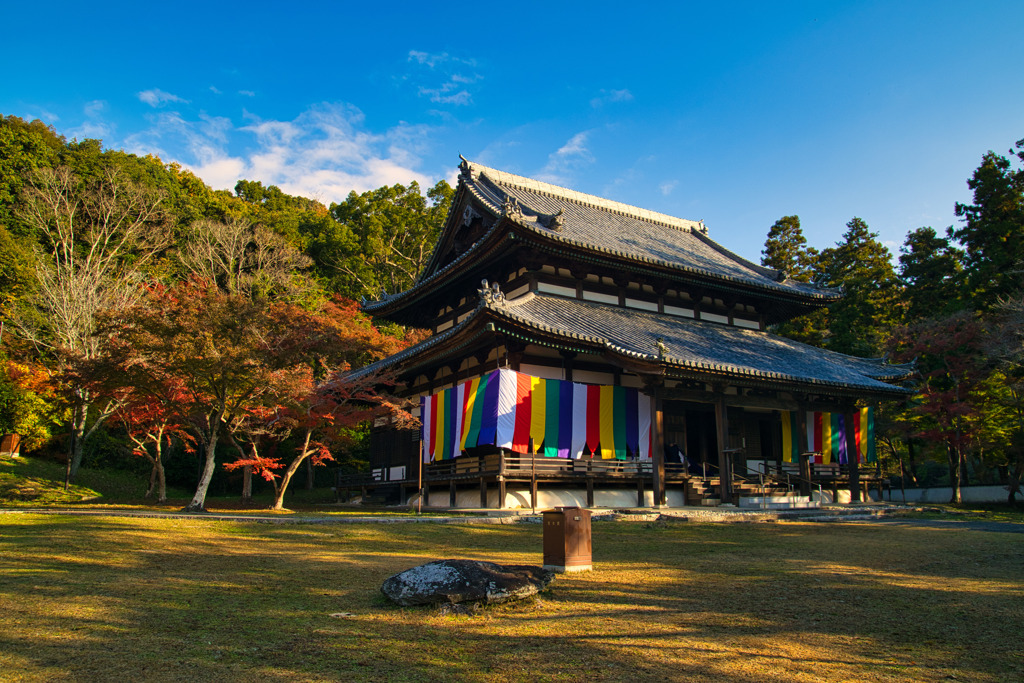 秋～根来寺～大伝法堂