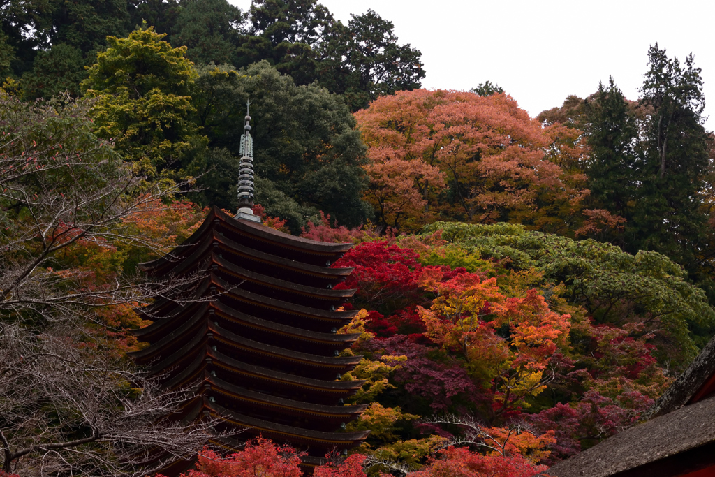 16’秋の談山神社