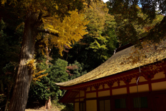 17’紅葉の談山神社④