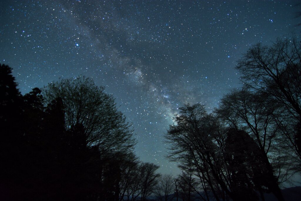 星降る夜と山桜　其の弐