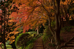 九品寺の紅葉