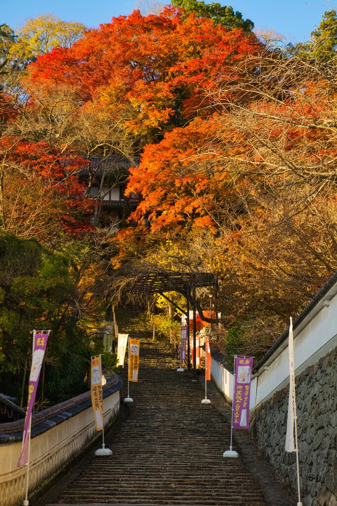 23'錦秋の長谷寺　弐