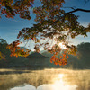 秋　紅葉始まる～浮見堂