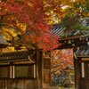 錦秋～手向山八幡宮