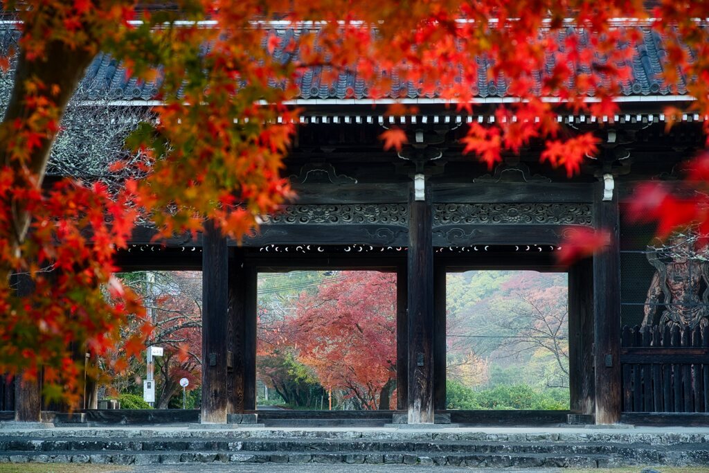 大門に訪れた秋