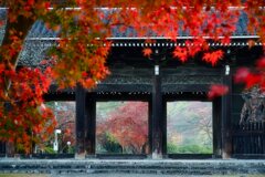 大門に訪れた秋