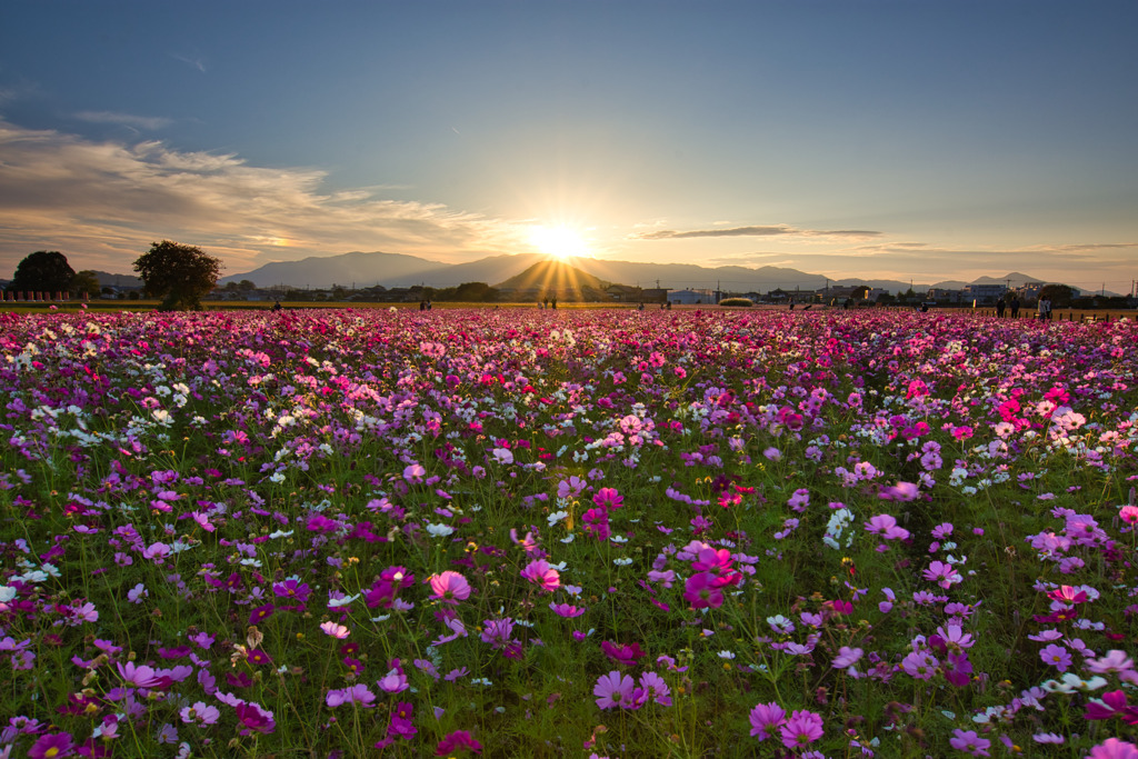 藤原宮の夕景2022