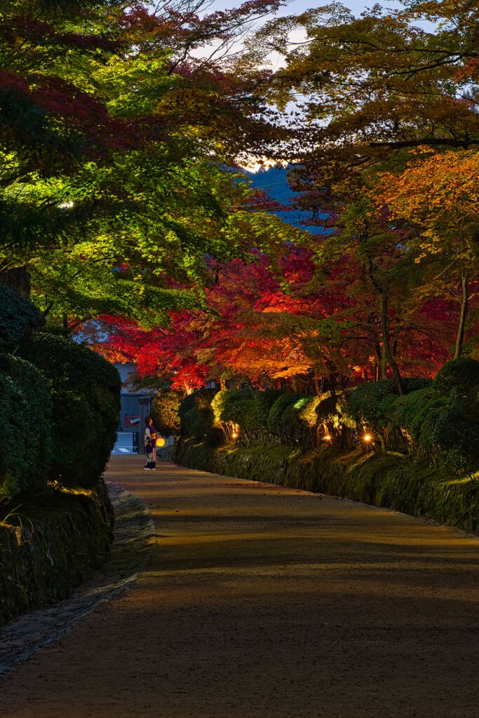 夜明の蛇腹道