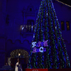 メリークリスマス♪　①