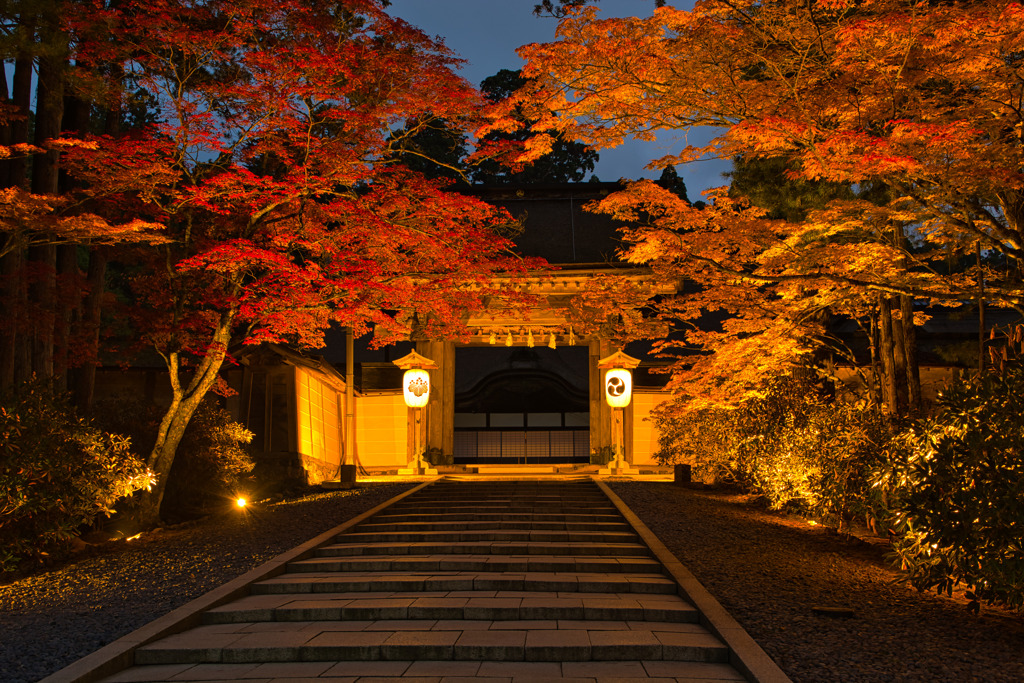 2021紅葉初め・・・金剛峯寺