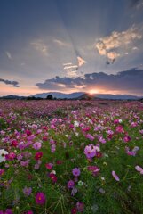 25楽園の終焉 25楽園の終焉