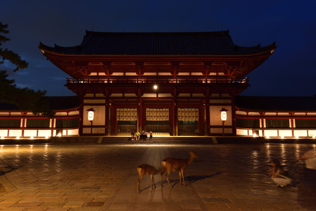 夏夜の中門
