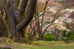 存在感