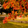 聖天池を飾る紅葉