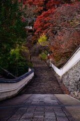 錦秋の長谷寺25