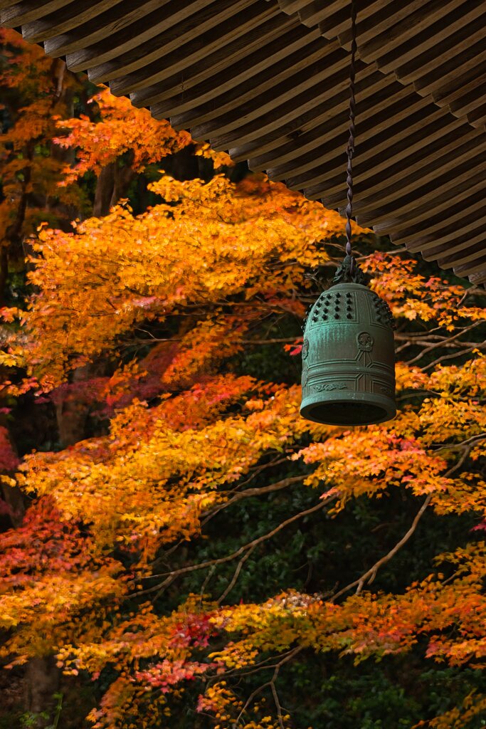 見惚れる・・室生寺