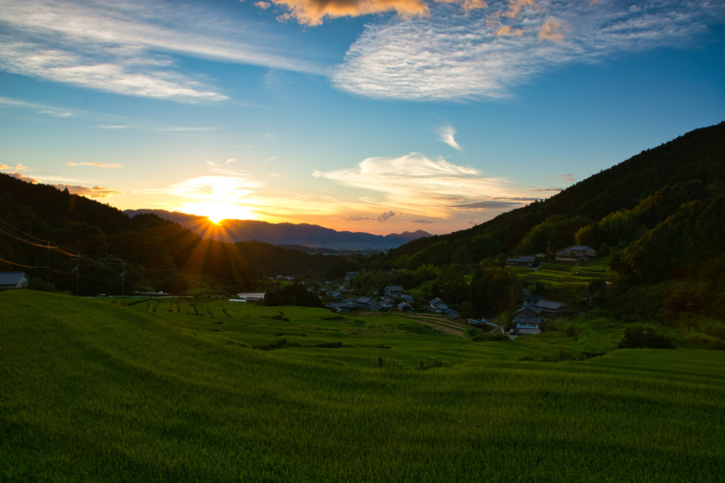 秋の細川