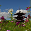 初秋の法起寺④