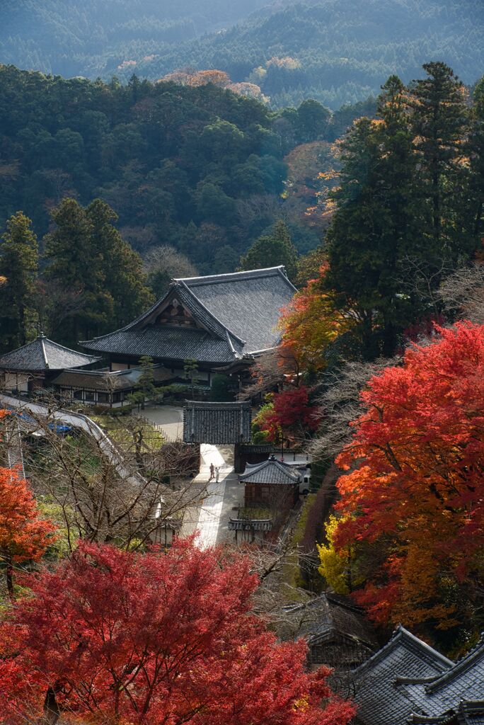 晩秋～紅葉の長谷寺