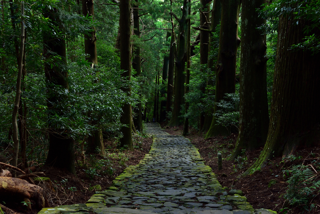 熊野古道　大門坂①