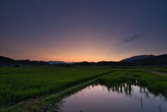 夏　小山の朝