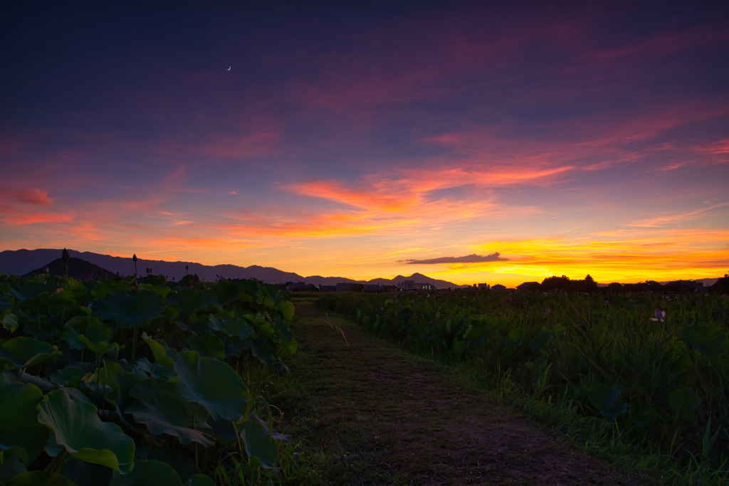 Evening view of Fujiwarakyo