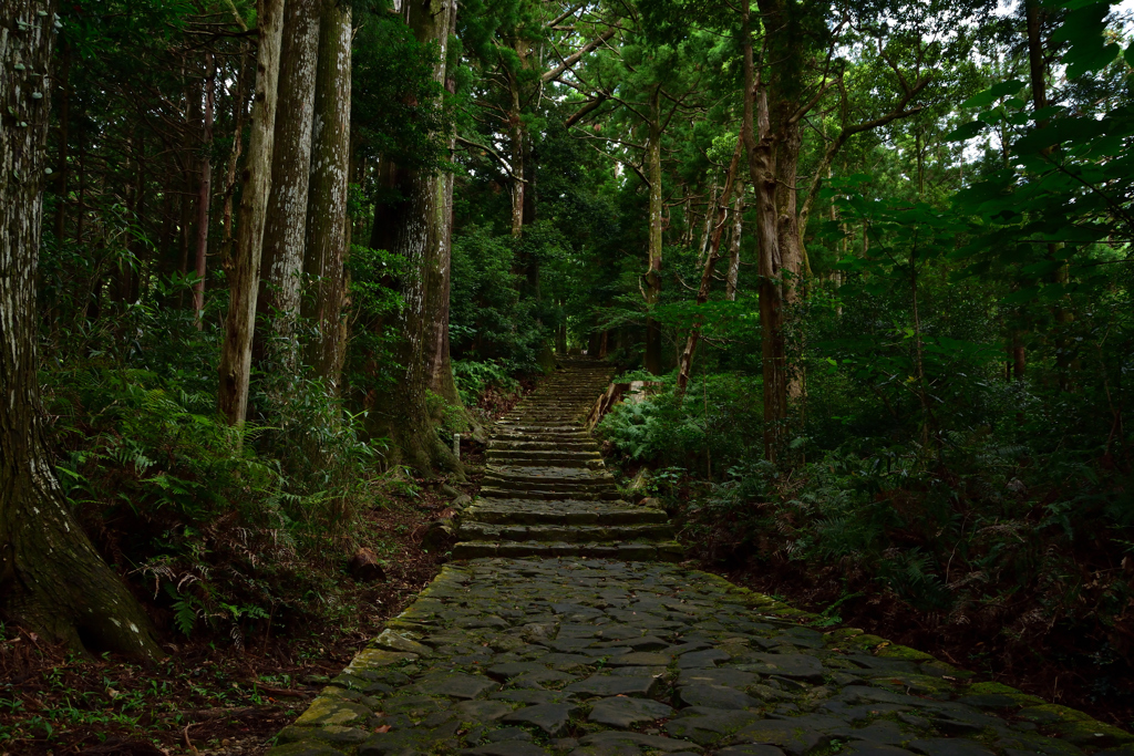 熊野古道　大門坂②