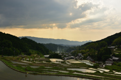 棚田のある景色