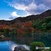秋～天龍寺曹源池庭園