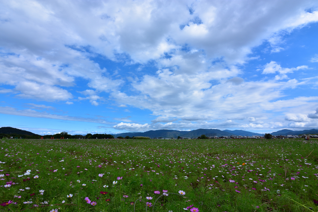 風に吹かれて・・・