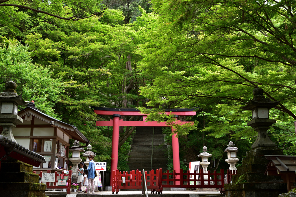 新緑の談山神社②