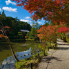 錦秋～円成寺