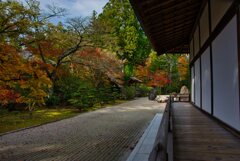 金剛峯寺　蟠龍庭