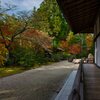 金剛峯寺　蟠龍庭