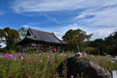 秋の般若寺19’