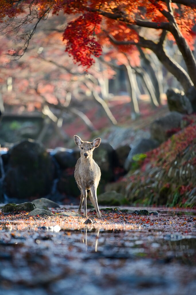 満喫したかい？