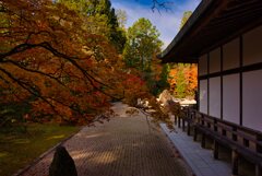 金剛峯寺　蟠龍庭 〈四〉