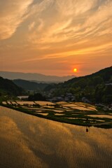 夕陽と棚田　壱