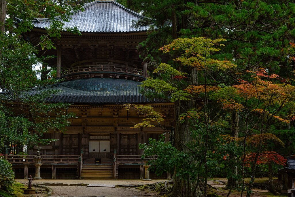 25’紅葉の始まり～西塔