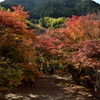 17’紅葉の談山神社⑦
